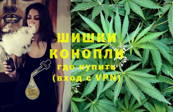 шишки Армянск