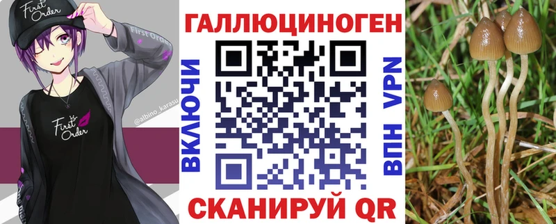 мориарти Telegram  Пучеж  Галлюциногенные грибы GOLDEN TEACHER  даркнет сайт 
